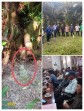 Belasan Tahun Perjuangkan Tanah Leluhur, Warga Siak Klaim Lahan di Luar HGU PTPN V Malah Ditanami Sawit