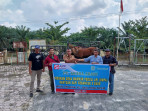 Kampung Tasik Betung  Kecamatan Sungai Mandau Terima Bantuan Sapi Program DMPA ( Desa Makmur Peduli Api ) PT. Arara Abadi.