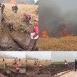 Kobaran Api Semakin Besar, Camat Pangkalan Kerinci Bersama BPBD dan Damkar Masih Berjibaku Tangani Karhutla