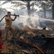 Kebakaran Lahan Melanda Rantau Baru, Camat Turun Langsung ke Lokasi Pantau Penanganan Api