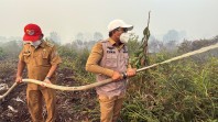 Bupati Zukri Turun Langsung Tangani Karhutla di Rantau Baru, Hampir 50 Hektare Lahan Gambut Terbakar