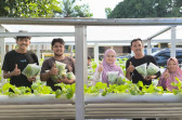 Prima Nasarudin Ajak Milenial Produktif Kembangkan Kebun Hidroponik