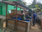 Lima Unit Kandang Ayam Petelur dan Kolam Lele TMMD ke-129 Rampung 100 Persen, Siap Dukung Kemandirian Pangan Warga