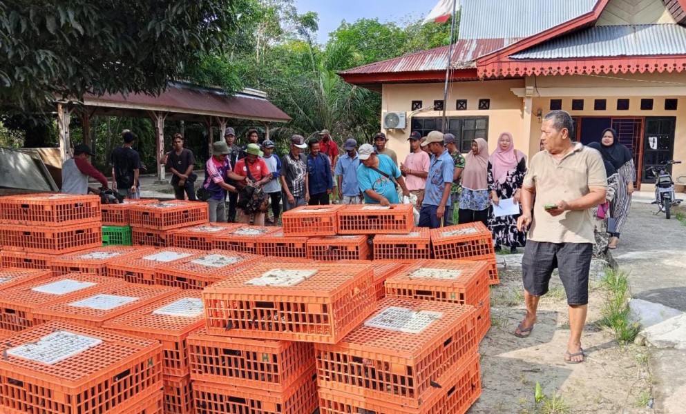 Pemdes Pulau Muda Luruskan Isu, Ajak Masyarakat Tak Terpengaruh Hoaks Dana Desa