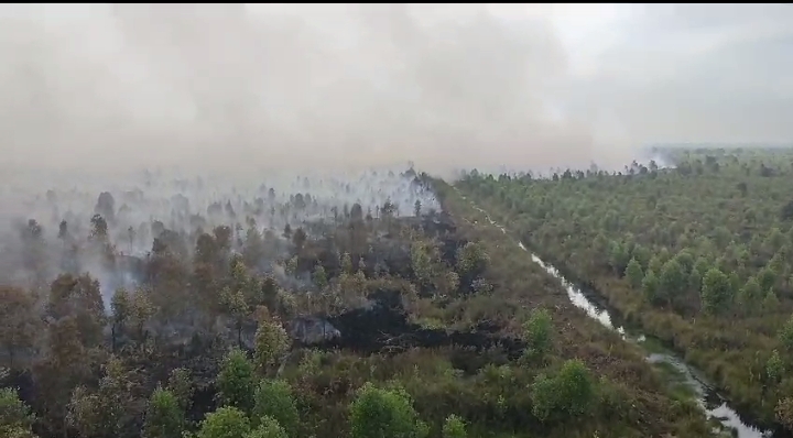 Puluhan Hektar HGU PT. PHI Terbakar