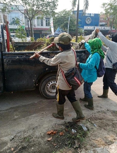 Bersihkan Drainase, Rumput di Bahu Jalan Pun Dibabat Petugas DLH Pelalawan