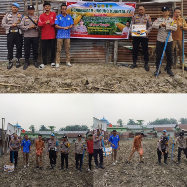 DUKUNG ASTA CITA PRESIDEN, POLSEK LUBUK BATU JAYA KETAPANG BERSAMA PONPES NURUL HUDA TANAM JAGUNG PIPIL DI KULIM JAYA