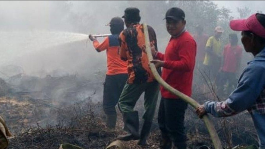 Kebakaran Hutan Di Pelalawan Meluas,Tim Gabungan Berjuang Padamkan Titik Api Baru
