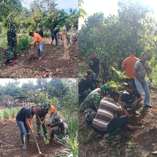 Dukung Ketahanan Pangan Berkelanjutan, Satgas TMMD Ke-129 Kodim 0102/Pidie Tanam Pohon Produktif Bersama Warga