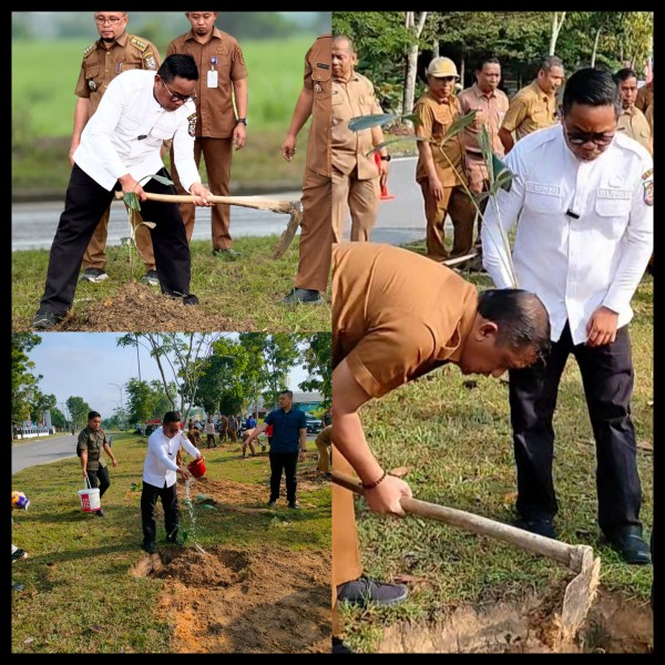 Menghijaukan Dan Menghidupkan Ekonomi, Bupati  H Zukri Pimpin Penanaman Bibit Pohon Aren di Pangkalan Kerinci